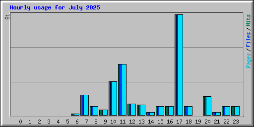 Hourly usage for July 2025