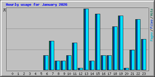 Hourly usage for January 2026